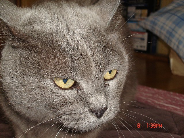 記事のタイトル