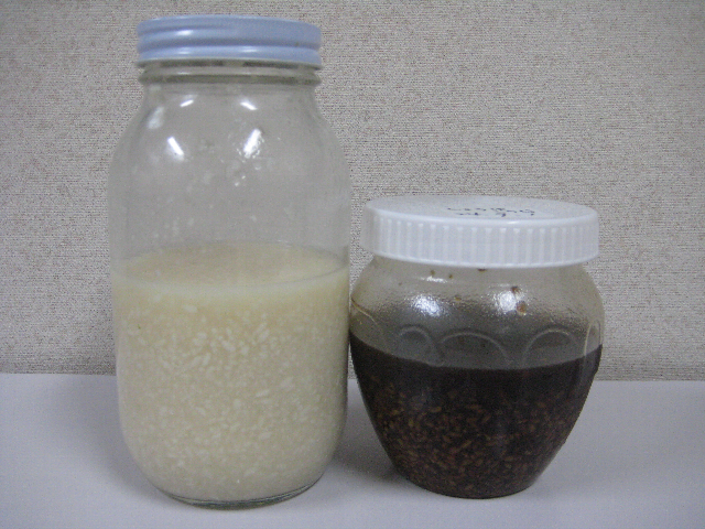 麹にめざめました！