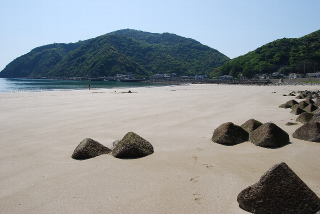 ジム・チョーのつぶやき・・・