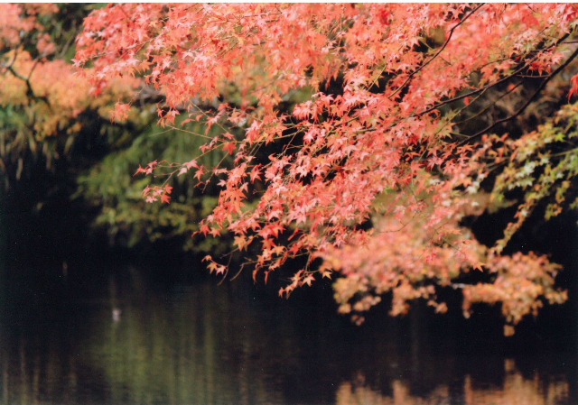 暖かくなりましたね。