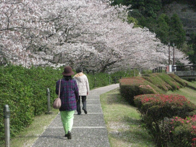 桜の名所