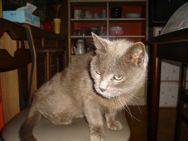 私のバターを見て下さい