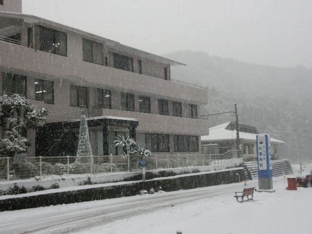 39年ぶりの大雪　(+_+)
