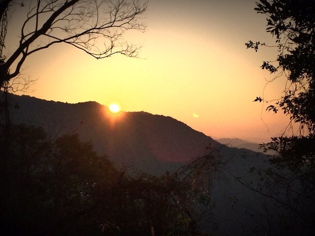今年の「「初、、、、、」」