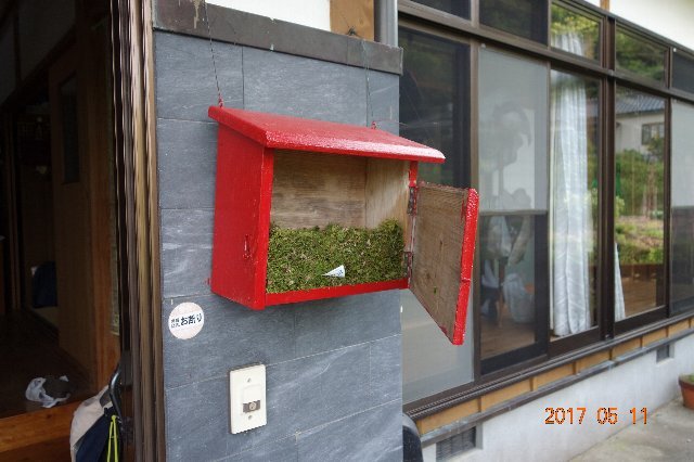 これは昨年（2017）の出来事です。