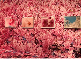 蜷川実花展に行ってきました。