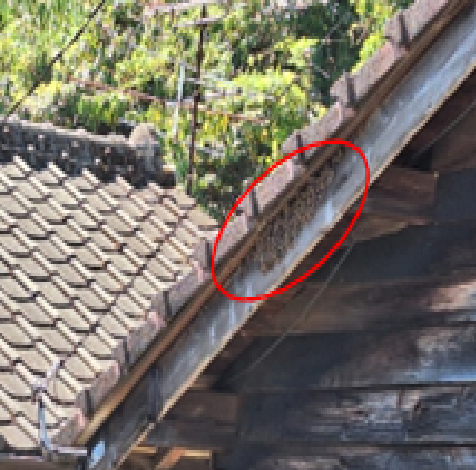 なかなかめぐりあわない出来事